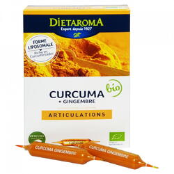Turmeric Bio si ghimbir (Curcuma) 20 fiole*10 ml