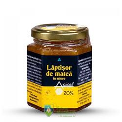 Laptisor de matca in miere 20% ApicolScience 230 gr