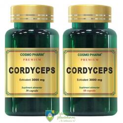 Cordyceps 300mg Premium 60 capsule + 30 cps Gratuit