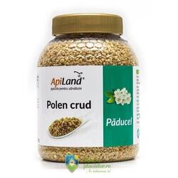 Polen Crud Paducel 500 gr