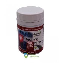 Gel Aktiv Reumax Forte complex din 8 plante medicinale 250 ml