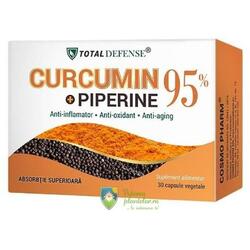 Curcumin + Piperine 95% 30 capsule