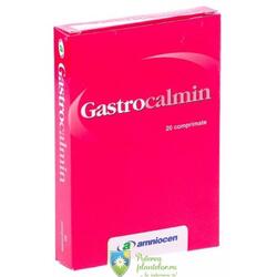 Gastrocalmin 24 comprimate