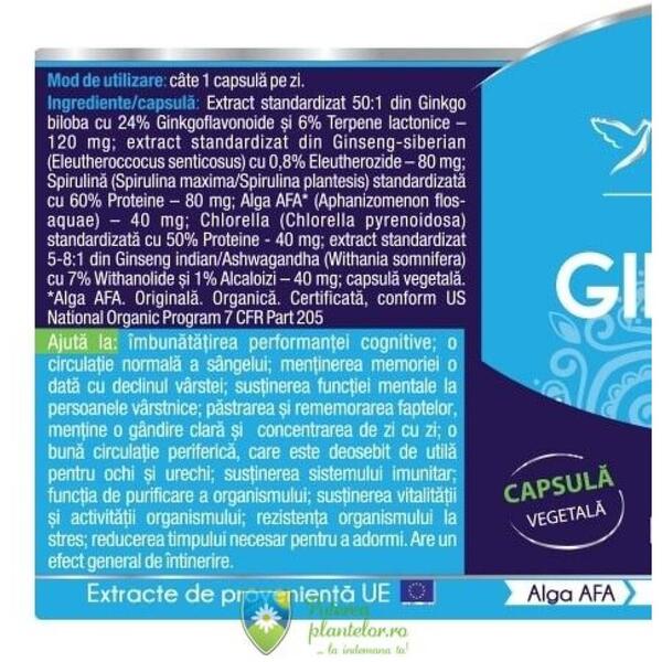 Herbagetica Ginkgo 120+ Stem 60 capsule + 10 capsule Cadou