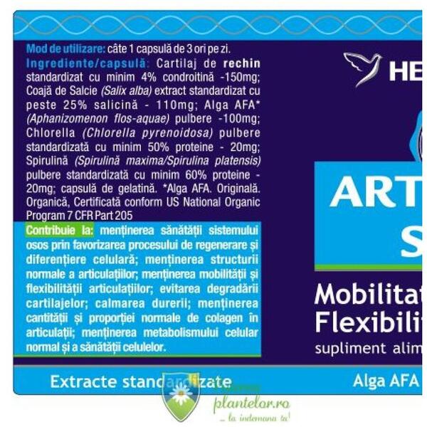 Herbagetica Artro+ Curcumin 95 60 capsule + Articular Stem 60 cps 1/2 Gratis
