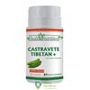 Health Nutrition Castravete tibetan insulina verde 60 capsule