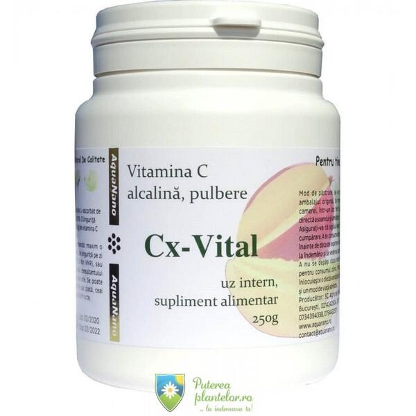 Aghoras Vitamina C tamponata AquaNano Cx-Vital pulbere 250 gr