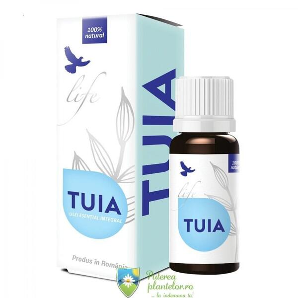 Bionovativ Life Ulei esential de Tuia 10 ml