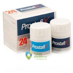 Prostafix 24 day and night protect 2*30 tablete