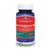 Herbagetica Astragalus 500mg 60 capsule