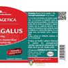 Herbagetica Astragalus 500mg 30 capsule