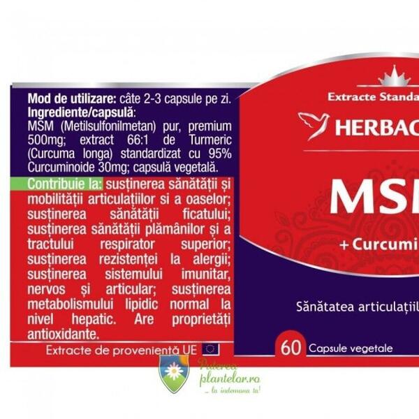 Herbagetica MSM 500mg 60 capsule
