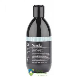 Scalp Relief Sampon purificator anti matreata 250 ml