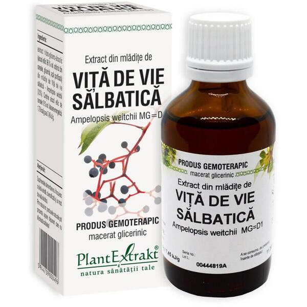 PlantExtrakt Extract de mladite de vita de vie salbatica 50ml