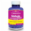 Herbagetica Shilajit Mumio 120 capsule