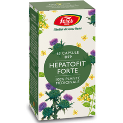 Hepatofit Forte 63 capsule