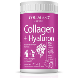 Collagen + Hyaluron 150g