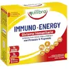 Immuno Energy, Supliment alimentar pentru sustinerea sistemului imunitar, EQUILIBRA, 14 Plicuri, 98 g