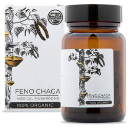 Feno Chaga Organica (ciuperca anticancerigena ) 30 cps Endoca