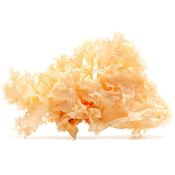 Organic Snow Fungus Mushroom (Tremella) 800 mg Full Spectrum (60 capsule), Mushrooms4Life
