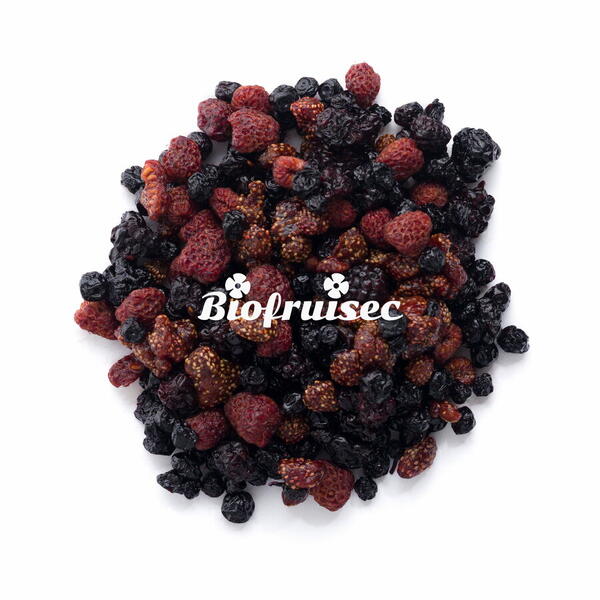 Mix fructe de padure BIO, din Alpii Dinarici Biofruisec 100g