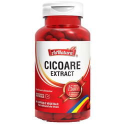 Cicoare Extract 60 capsule Adnatura
