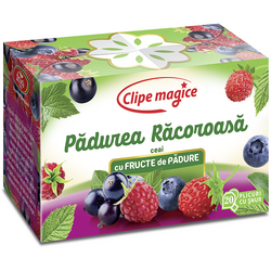 Padurea Racoroasa - Ceai cu fructe de padure 20 plicuri