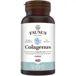 Colagenus 60cps FAUNUS PLANT