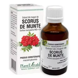 Extract din muguri de SCORUS DE MUNTE - Sorbus aucuparia MGD1 50ml