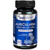 Dvr Pharm Auricularia – Urechea Lui Iuda – 60 de capsule