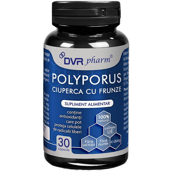 Dvr Pharm Polyporus – Ciuperca Cu Frunze – 30 de capsule