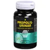 Dvr Pharm Propolis-Urinar  60 cps