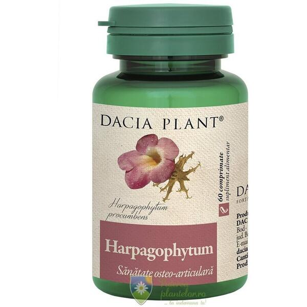 Dacia Plant Harpagophytum 60 comprimate