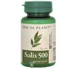 Dacia Plant Salix 500 60 comprimate