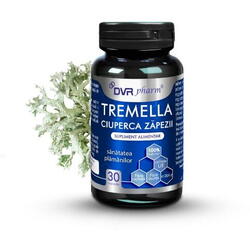 Tremella – Ciuperca zapezii 30 capsule Dvr Pharm