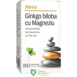 Ginkgo biloba cu Magneziu 60 comprimate
