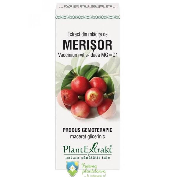 PlantExtrakt Extract din Mladite de Merisor 50 ml