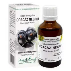 PlantExtrakt Extract din Muguri de Coacaz negru 50 ml