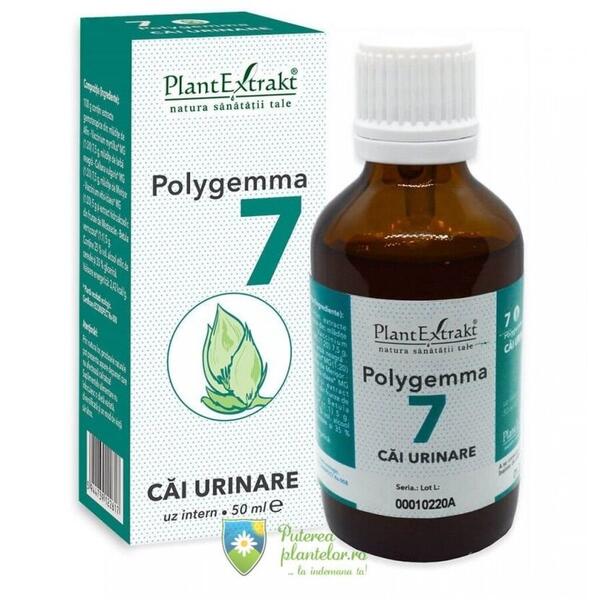 PlantExtrakt Polygemma 7 Cai Urinare 50 ml