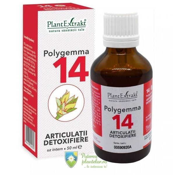 PlantExtrakt Polygemma 14 Articulatii Detoxifiere 50 ml