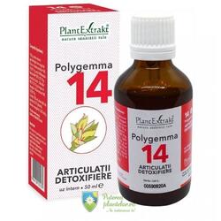 Polygemma 14 Articulatii Detoxifiere 50 ml