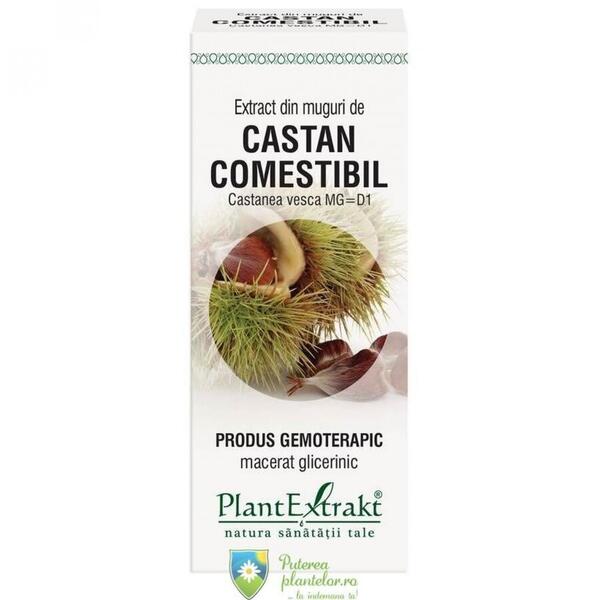 PlantExtrakt Extract din Castan Comestibil 50 ml