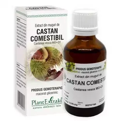 PlantExtrakt Extract din muguri de Castan comestibil, 50 ml, Plant Extrakt