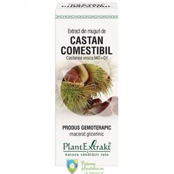 Extract din Castan Comestibil 50 ml