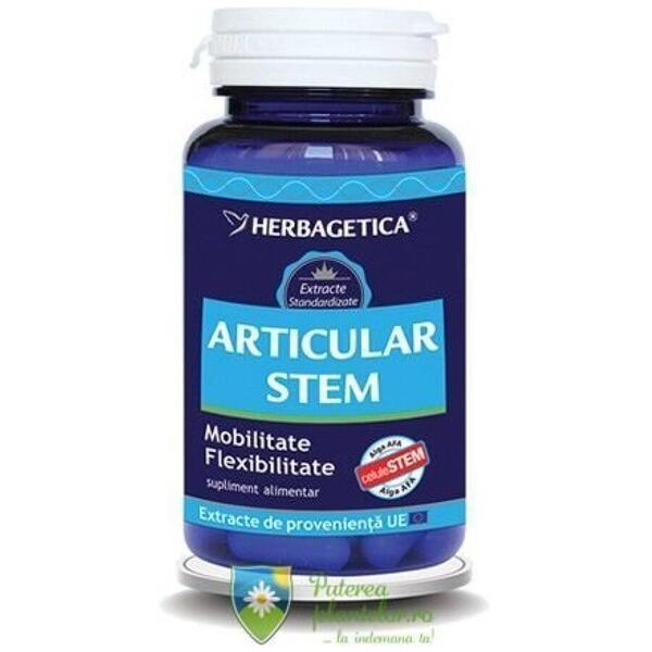 Herbagetica Articular Stem 60 capsule