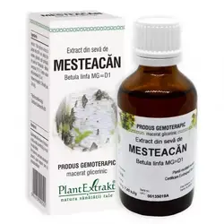 PlantExtrakt Extract din seva de Mesteacan, 50 ml, Plant Extrakt