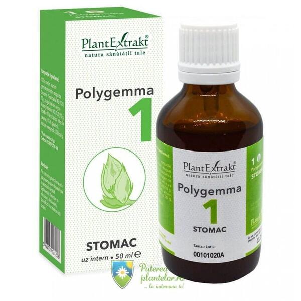 PlantExtrakt Polygemma 1 Stomac 50 ml