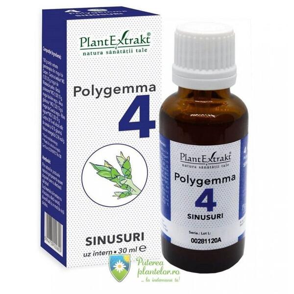 PlantExtrakt Polygemma 4 Sinusuri 30 ml