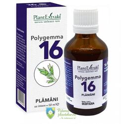 Polygemma 16 Plamani 50 ml