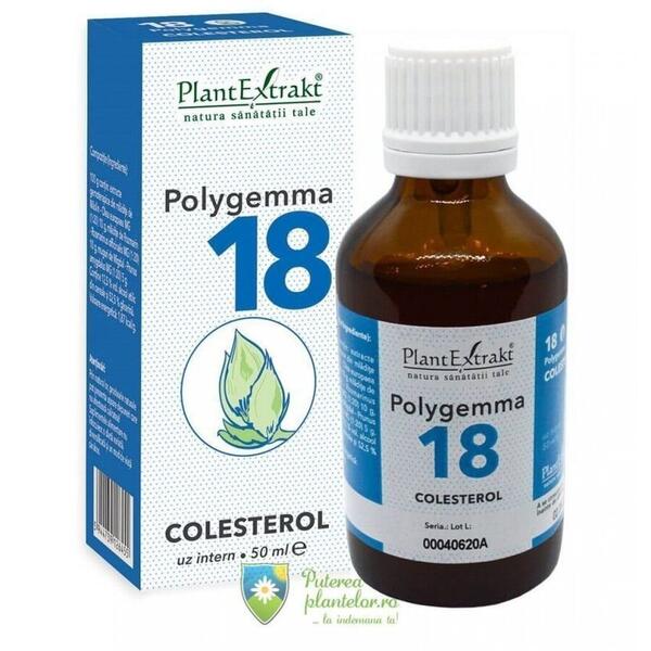 PlantExtrakt Polygemma 18 Colesterol 50 ml